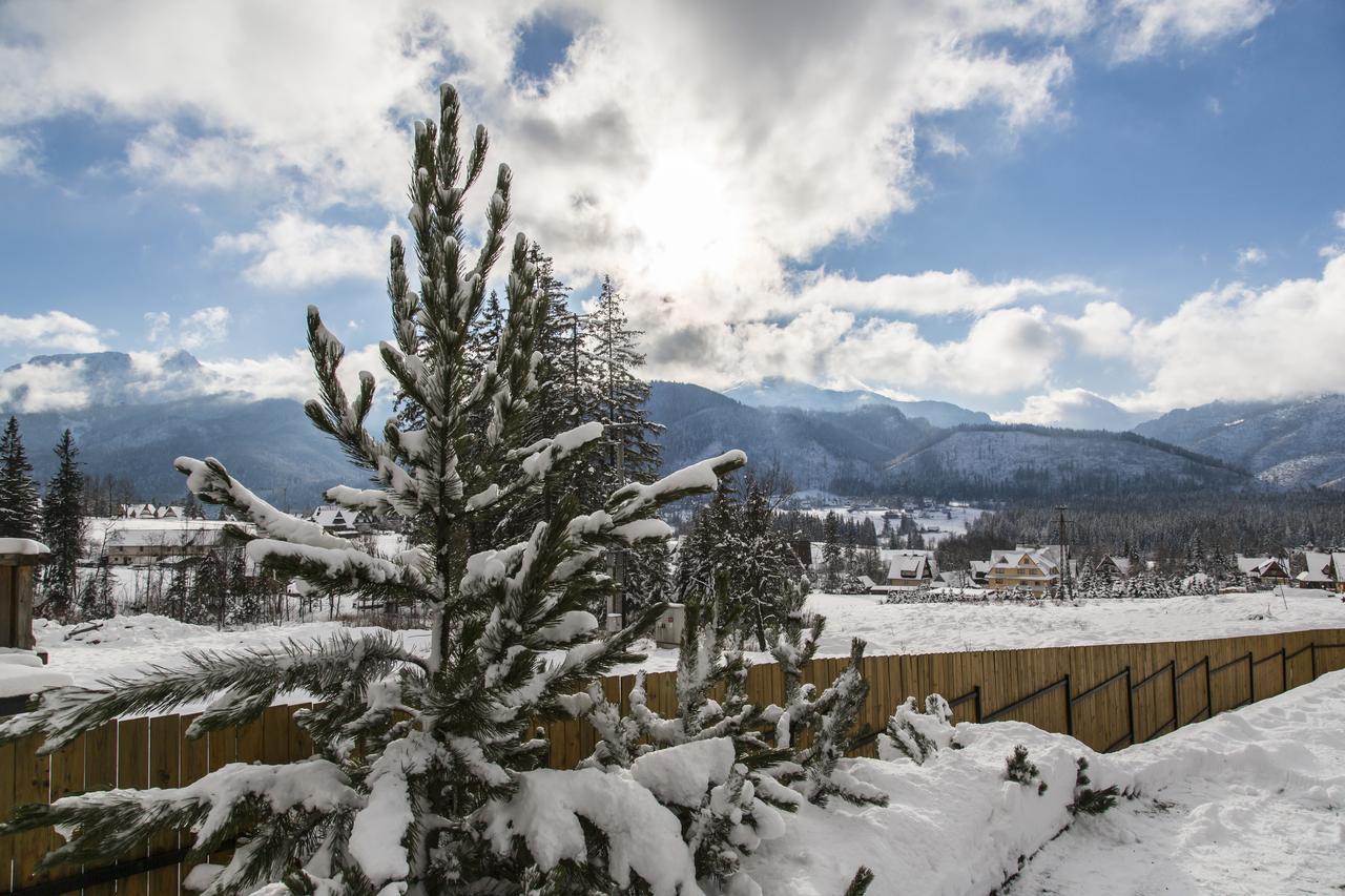 Udanypobyt Apartamenty Snowbird Кошелско Екстериор снимка